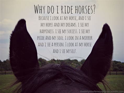 When In Doubt Ask A Horse Inspirational Horse Quotes Horse Riding