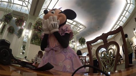 Hkdl 9 May Enchanted Garden Minnie Youtube