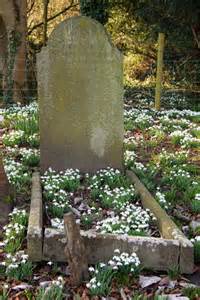 Snowdrops covering a grave © Steve Daniels :: Geograph Britain and Ireland