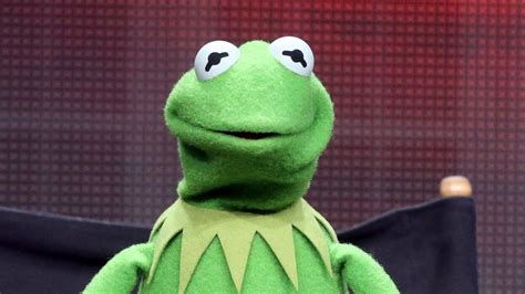 Why Kermit The Frog Memes Are So Popular According To Science Bbc News