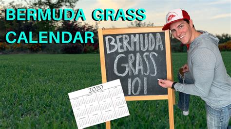 Bermudagrass Calendar Bermuda Lawn Maintenance For Beginners Youtube