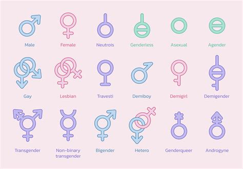Gender Symbol Collection Sexual Orientation Signs Male Female Gay Lesbian Transgender And