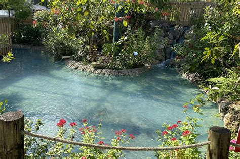 Best things to do in Coconut Creek - Aiken Adventures