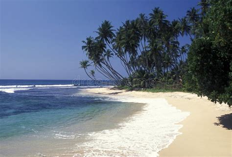 Sri Lanka Hikkaduwa Beach Editorial Stock Image Image Of Seascape