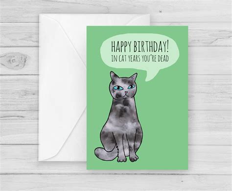 Funny Cat Years Birthday Card Kitty Cats Joy