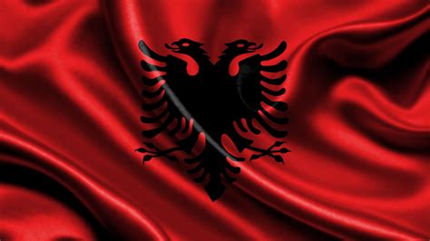 Hd Albanian Eagle Wallpaper Download