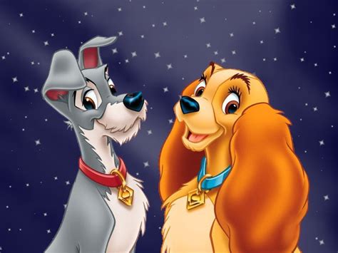 Lady And The Tramp Wallpaper 1024x768 76268