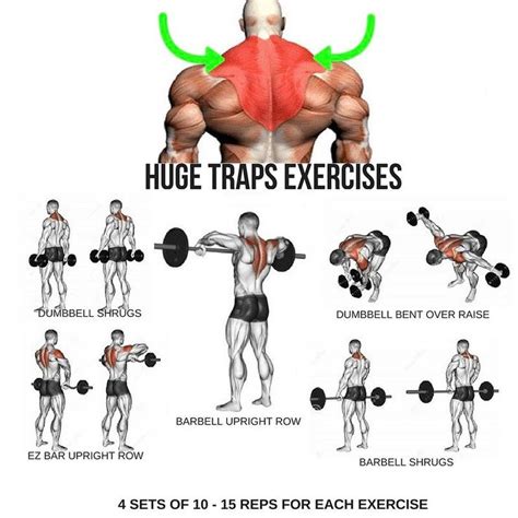 Huge Traps Workout Step By Step Tutorial Gym Workout Chart Traps