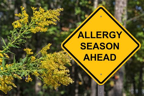 How To Beat Allergies With Your Hvac System Hvac Industries