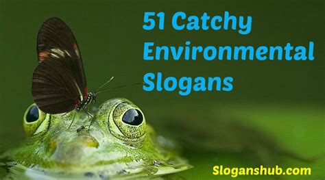 117 catchy slogans on environment with pictures and posters