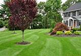 Images of Residential Landscaping Services