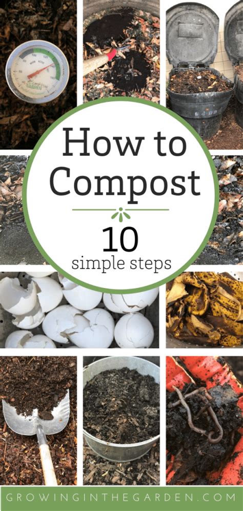 How To Compost 10 Simple Steps Growing In The Garden