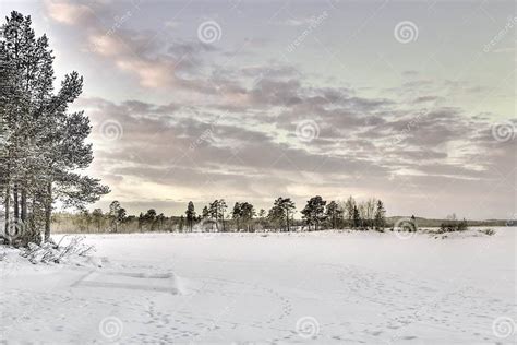 Frozen Lake In Inari Finland Stock Photo Image Of Sunrise Forest