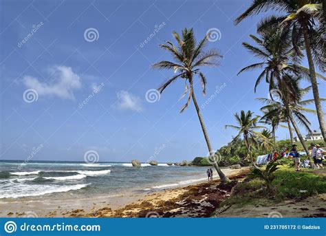 People On The Beach Of Bathsheba East Coast Of Island Barbados