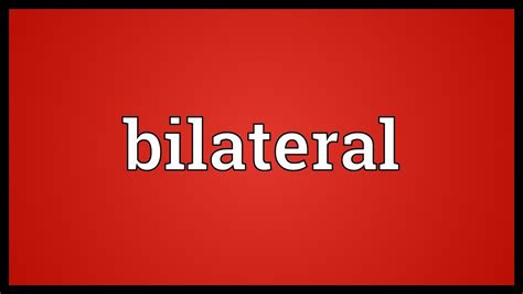 Bilateral Meaning Youtube