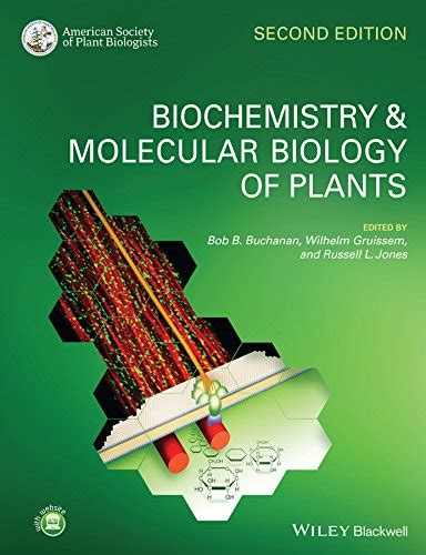 Biochemistry And Molecular Biology Of Plants English Edition Ebook