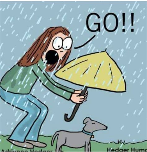 Pin By Jim Foley On Funny Rain Humor Rainy Day Quotes Rainy Day Humor