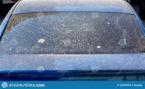 Rear View Of A Dirty Car Window Covered With A Layer Of Dry Dust Stock