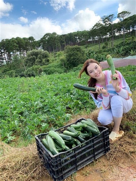 ''trông có tỉnh táo không anh em ơi?. Lý Nhã Kỳ thu hoạch trái cây, hoa và rau củ trong khu vườn ...