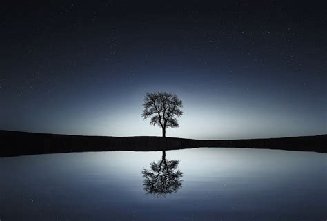 Silhouette Of Tree Beside Body Of Water Under Starry Night Hd Wallpaper