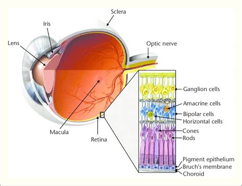 Retina Eye Chart