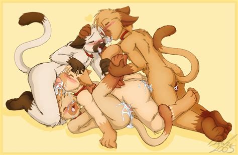 Gay Furry Yiff 61 Gay Furry Yiff Sorted By Position