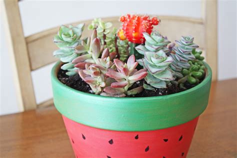 Succulent Painted Pot Diy Catch My Party