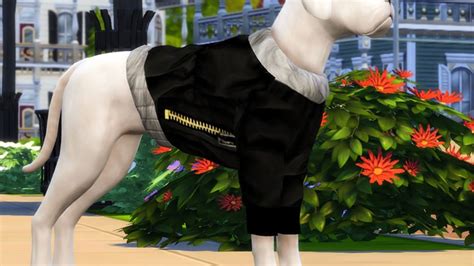 Sims 4 Pets Mod Without Expansion Pack The Mod Isnt Without Its