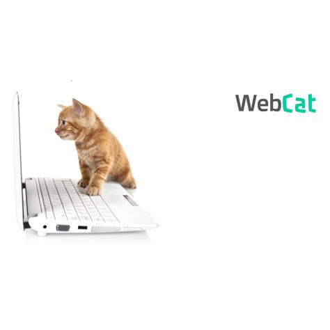 Verkkotunnuksen Rekisteröinti Webcat
