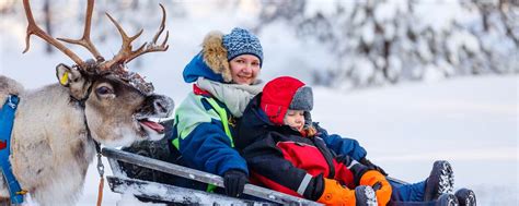 2023 Lapland Day Trips Special Offers Lapland