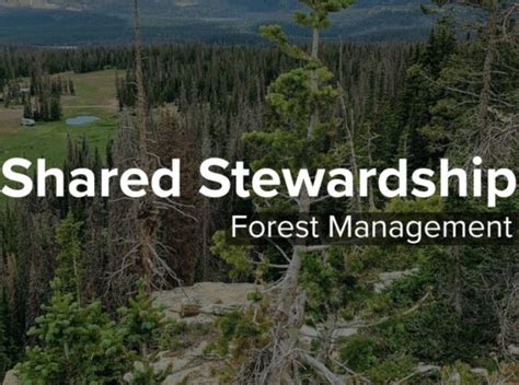 Shared Stewardship And Forests In Utah 2021 Update