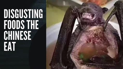 Top 10 Disgusting Foods The Chinese Eat Bizarre Foods Youtube