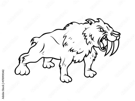 Saber Tooth Tiger Drawing Stock Vector Adobe Stock