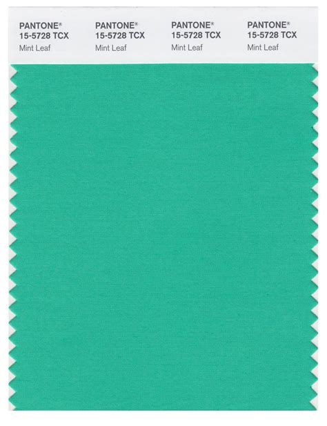 Pantone Smart 15 5728 Tcx Color Swatch Card Mint Leaf Magazine Cafe