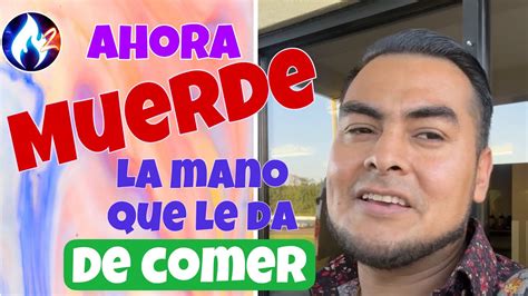 JOSE TORRES Muerde La MANO Que Le Da De COMER Y Por Eso NO Le Dan