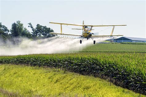 Magnum, damacai & toto live results. 2,4-D Weed Killer Toxicity, Use in Herbicides and ...
