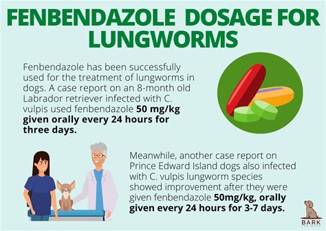 Your Complete Guide To Canine Deworming Using Fenbendazole Bark For More