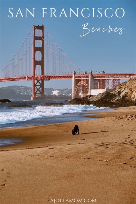 Best Beaches In San Francisco California La Jolla Mom