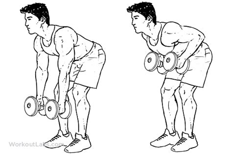Two Armed Bent Over Row Illustrated Exercise Guide Workoutlabs