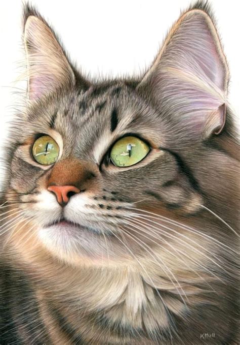 Cat In Colored Pencil On Drafting Film Craftsy Cat Art Cute Cats