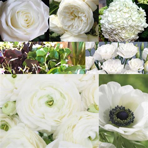 Pin by Flowers By Nature on White wedding flowers | Cream wedding flowers, Wedding flowers ...