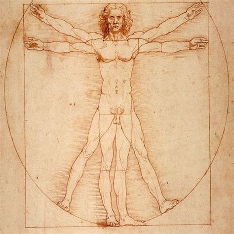 Картины Леонардо да Винчи Leonardo Da Vinci