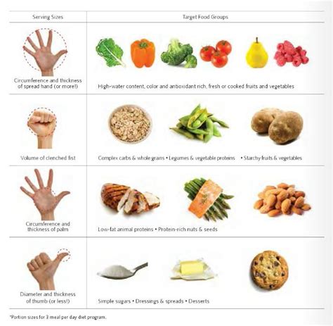 healthy food portion sizes hot sex picture