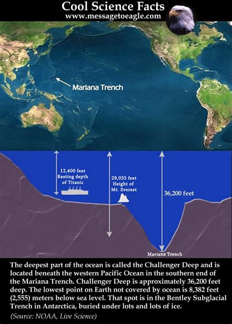 Mariana Trench Deepest Part Of The Worlds Oceans