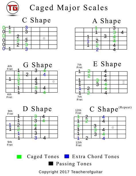 caged major scale chart in c teacher of guitar
