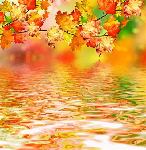 Red Autumn Leaves Reflecting In The Water — Stock Photo © Silverjohn