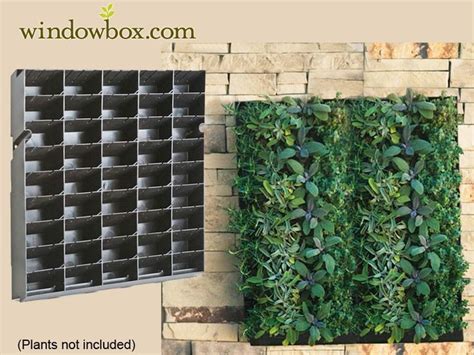 Large Living Wall Planter 20w X 20h With Images