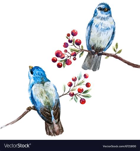 Nice Watercolor Birds Royalty Free Vector Image