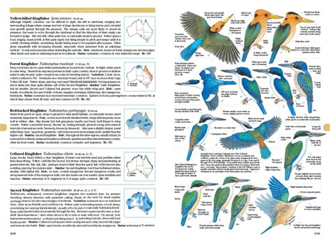 Steve Parish Field Guide Australian Birds Hardback Morcombe Michael