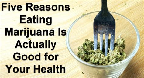 To get the most out of it, you'll want to store it in a glass container while monitoring. Five Reasons Eating Marijuana Is Actually Good for Your Health